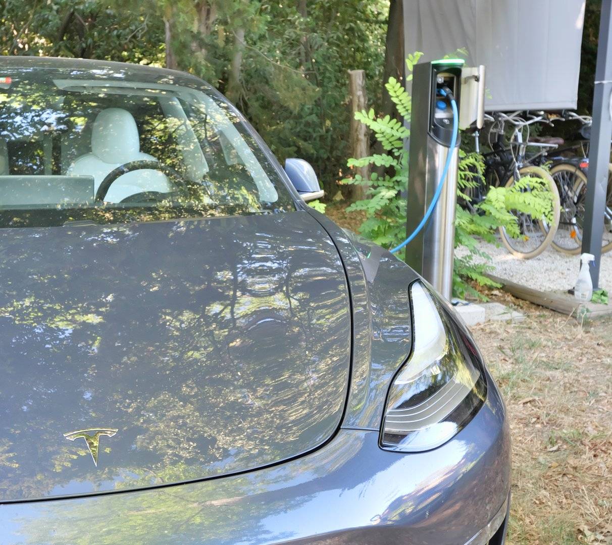 Borde de recharge voitures electriques